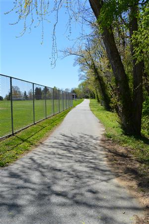 Eskie Park- Walking Path